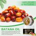 100% Pure Batana Oil for Hair Growth - Dr Sebi Organic Oil from Honduras | Prevent Hair Loss & Promote Thickness for Men & Women - 4.2 oz - Buy Online on SooperMarket.com