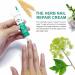 Nail Repair Cream Effective Fungal Nail Treatment for Toenails Fungus Nail Cream Nourishing For Restores Discolored & Damaged Strong Nail Fungus Treatment for Toenail Restores Healthy Appearance - Buy Online on SooperMarket.com