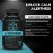 L-Theanine Capsules - For Stress Management & Relaxation - Promotes Focus Alertness & Clarity - L Theanine Supplement for Stress Relief - 250 mg per capsule - 120 Capsules 120 count (Pack of 1) - Buy Online on SooperMarket.com