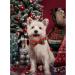 Shop Lionheart Glory Christmas Checkered Dog Collar & Bowtie - Adjustable X-Large Red-Green Dog Collar for Big Dogs - Comfortable & Stylish Dog Shoe Collar - Buy Online on SooperMarket.com