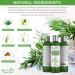 Alopecia Prevention Conditioner with Rosemary & Lemongrass - DHT Blocker, Doctor Developed - 2018 Formula - Buy Online on SooperMarket.com