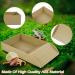 Tortoise Water Dish Tortoise Bath Dish 30.5x14.8x5.8cm Anti Slip Reptile Pool Bowl with Ramp Reptile Feeding Box Dish Plastic Turtle Water Bowl Tortoise Habitat Accessories for Basking Feeding Wood Small - Buy Online on SooperMarket.com