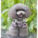 Shop Ranphy Soft Velvet Reindeer Hoodie for Small Dogs & Cats - Cozy Jumpsuit for Puppies (30cm Back 42cm Chest) - Unisex Pet Clothing - Buy Online on SooperMarket.com