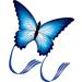 HENGDA KITE for Kids & Adults, So Beautiful Butterfly Kite for Outdoor Games and Activities Single Line Kite with Flying Tools