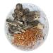 Mushroom Dried Mushroom Soup Ingredients