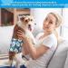 Dono 3-Pack Reflective Dog Diapers with Washable Belly Band for Small Medium & Large Dogs - Frying Eggs Design (L) - Buy Online on SooperMarket.com