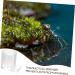 VILLFUL Pet Water Feeder Ant Waterer Ant Nest Water Cup Ants Food Dispenser Ant Feeding Cup Ant Water Feeders Ant Keeping Water Feeding Cup for Ant Nest Ant Nest Supplies Ant Feed Bowl - Buy Online on SooperMarket.com