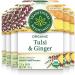 Traditional Medicinals - Organic Tulsi with Ginger Herbal Tea (Pack of 6) - Adaptogen That Helps Increase Energy and Stress Response - 96 Tea Bags Total Tea Tulsi with Ginger 16 Count (Pack of 6)