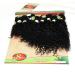 Buy 8-14 Inch Eunice Brazilian Kinky Curly Hair Bundles - Premium Black Jerry Curly Human Hair (8 10 12 Inch) for International Shipping - Buy Online on SooperMarket.com