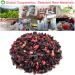 Plant Gift Currant Berries Blueberry Raspberry Tea Bags hibiscus tea bags Roselle Blueberries Grapes Raspberries Into Iced Tea & Hot Tea Oganic Fruit Herbal Tea 70G/2.5oz - Buy Online on SooperMarket.com