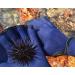 EXCEREY Swimming Webbed Gloves - Aquatic Fitness Paddles for Men and Women - Blue - Buy Online on SooperMarket.com