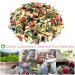 Plant Gift Summer Fun Fruit Tea Oganic Fruit Herbal Tea All Natural Flavors Loose Leaf Apple Grape Lemongrass Lemon Peel Strawberry Non GMO Vegan Tea Bags Into Iced Tea & Hot Tea 70G/2.5oz - Buy Online on SooperMarket.com