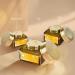 Buy Forest Essentials Soundarya Radiance Cream with 24K Gold - 50g | Luxury Skincare for Radiant Glow | International Shipping Available - Buy Online on SooperMarket.com
