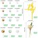 29 PCS Colorful Balloon Cupcake Topper Set for Wedding, Baby Shower, Birthday Party - White, Gold, Green - Buy Online on SooperMarket.com