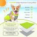 Hjyokuso Cool Vest for Dogs | Summer Cooling Jacket for Small Medium & Large Dogs | Ideal for Outdoor Activities & Training - Buy Online on SooperMarket.com