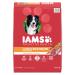 IAMS Proactive Health Minichunks Adult Dry Dog Food Lamb & Rice Recipe 6.80kg (15 LB) Bag 6.8 kg (Pack of 1) Dog Food