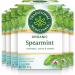 Traditional Medicinals - Organic Spearmint Herbal Tea (Pack of 6) - Refreshing and Minty - 96 Tea Bags Total Tea Spearmint 16 Count (Pack of 6)