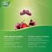 Nature's Way Beet Root Source of Antioxidant 100 Vegetarian Capsules - Buy Online on SooperMarket.com
