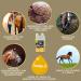 Buy Emma Linseed Oil for Horses & Pets - Cold-Pressed Omega 3 & 6 Fatty Acids for Shiny Fur & Digestion | 2x1L - Ideal for Dogs & Cats - Buy Online on SooperMarket.com
