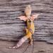 WEBEEDY 2 Sets Bearded Dragon Lizard Harness Leash 3 Size Pack Leather Adjustable Dinosaur Wing Lizard Harness Leash for Bearded Dragon Lizard Reptiles Safety Outdoor Walking - Buy Online on SooperMarket.com