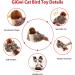 Gigwi Interactive Cat Toy - Real Chirping Bird Sound | Feather & Plush Design for Indoor Cats | Relieves Boredom - Buy Online on SooperMarket.com
