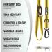 Bluzelle Strong Double Dog Lead 3m for Large Dogs | Adjustable & Reflective | Hands-Free Leash for Dogs up to 220lb | Yellow - Buy Online on SooperMarket.com