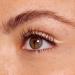 Buy essence Stay & Play Gel Eyeliner - Waterproof Longlasting Vegan | Super Soft Gel Texture | 03 Silky Nude - International Shipping Available - Buy Online on SooperMarket.com