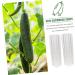 BCOATH 2pcs Vegetable Shaping Fruit Vegetable Forming Mould Kit Watermelon Picking Garden - Buy Online on SooperMarket.com