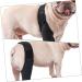 CORHAD Pet Injury Knee Puppy Brace Elbow and Knee Pads Dog Knee Cover Butter Care L As Shown - Buy Online on SooperMarket.com