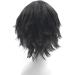 Gairyan Short Black Wig Cosplay Wig Unisex Anime Cosplay Wigs for Women/Men Straight Fluffy Wig Costume Theme Party Fancy Dress Wigs Halloween Wig Comic-Con Costumes Accessories - Buy Online on SooperMarket.com