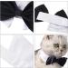 Buy SUNTRADE Adjustable Formal Pet Bow Tie for Dogs & Cats - Wedding Costume (Small Black) - International Shipping Available - Buy Online on SooperMarket.com