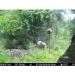 4S Feed Block Elevator - Attract Deer, Livestock, and Cattle with 50 LB Salt Block - Wildlife & Hunting Solutions - Buy Online on SooperMarket.com