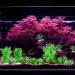 Buy Ctpeng 57-Piece Artificial Fish Tank Plants Decor Set | 2-30cm | Perfect for Aquarium Decoration - Buy Online on SooperMarket.com