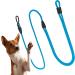 Hands-Free Dog Leash - 2m Adjustable Belly Belt for Running & Jogging | 3-in-1 Training & Hunting Leash for All Dog Sizes - Touline Petrol - Buy Online on SooperMarket.com