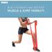 TKO Resistance Bands Set - 3 Pack | Flat Elastic Exercise Gear for Men & Women | Light Medium Heavy Resistance Levels for Fitness & Workout - Buy Online on SooperMarket.com