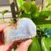 190g Natural Raw Blue Lace Agate Rough Stones Crystal Minerals and Stones Rough Gemstones Original Specimen for Home Decor Gifts Full of Texture (Size : 140-190g) - Buy Online on SooperMarket.com