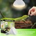 LUCKY HERP 150W Reptile Heat Bulb Basking Spot Heat Lamp for Reptiles Vivarium Light for Amphibian Chicks Dog Heating Use 150W 1 Pack - Buy Online on SooperMarket.com