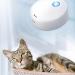 Wood Collection Cat Toilet Deodorant - Mini Air Purifier & Odor Neutralizer for Pets Wardrobes Shoe Cabinets & Kitchens - Buy Online on SooperMarket.com