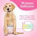 Buy Dono Disposable Dog Diapers for Females - 48 Super Absorbent Leak-Proof Pants for Heat & Incontinence - Sizes XXS to L - Buy Online on SooperMarket.com