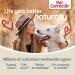 Pet Corrector Dog Trainer - Stop Barking, Jumping, Food Stealing & Dog Fights - 30ml - Safe, Humane & Effective - Buy Online on SooperMarket.com