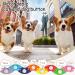 Shop Mmggaish 8 Colorful Dog Buttons for Communication | Complete Pet Training Set with 50 Stickers & Fixing Pads | International Shipping Available - Buy Online on SooperMarket.com