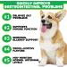 Oimmal Probiotics for Dogs Gut Health - 30pc Digestive Treats for Dog Support Seasonal Allergies Itchy Ears Dog Probiotic Supplement Soft Chews Improve Pet Immune System Dogs - Duck Flavour - Buy Online on SooperMarket.com