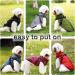 Luowan Waterproof Dog Coat for French Bulldogs | Warm Vest & Dog Jacket for Small Dogs (S Green) - Multi-Sizes Available - Buy Online on SooperMarket.com