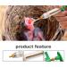 Baby Bird Feeding Kit 6PCS 20ML Baby Birds Feeding Syringe with Hose and Spoons Hand Feeding Device with Scale and Positioning Screw for Sick Bird - Buy Online on SooperMarket.com
