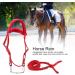 Premium PP Horse Bridle & Harness | Durable Horse Equipment for Home & Travel - Buy Online on SooperMarket.com