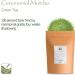 Ceremonial Grade Matcha Green Tea - From A Small Artisan Farm - Japanese Green Tea Powder - From Japan 30g - Buy Online on SooperMarket.com