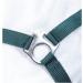 Nylon Halter BASICLINE - Dark Green Warmblood | RL24 | Durable & Stylish Horse Gear - Buy Online on SooperMarket.com
