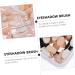 Healeved 5 Boxes creamy eyeshadow non latex Eye Shadow Sponge plastic eyeshadow sponge - Buy Online on SooperMarket.com