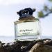 Tommy Bahama Maritime Triumph Eau de Cologne for Men Notes of Violet Cedar Cashmere Spicy & Masculine Scent Eau de Cologne - 4.2 Fl Oz - Buy Online on SooperMarket.com