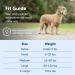 PetSafe Gentle Guide Collar Small Red with Training DVD | Best International Shipping - Buy Online on SooperMarket.com